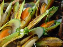 mussel