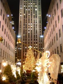 TREE1