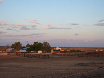 WIRRELYEMA　STATION