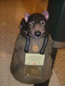 tasmanian devil