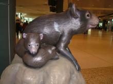 tasmanian devil 2