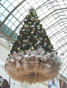 EatonTree02