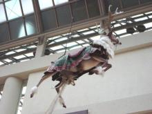 EatonRaindeer02