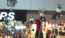 EatonRaindeer02