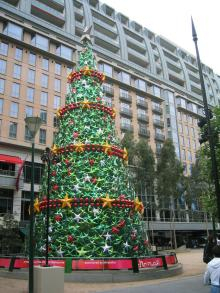 Christman Tree