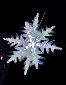 snow1
