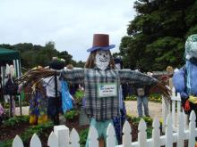 scare crow