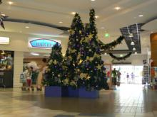 xmas tree in raintree