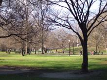 Boston Common 1