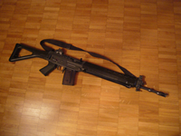 gun
