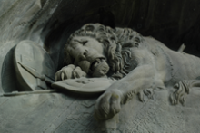 lion1