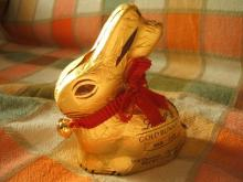 Gold Bunny