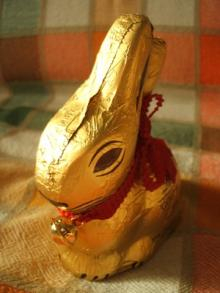 Gold Bunny profile