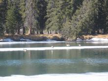 banff4