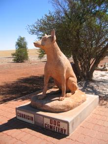 dog cemetary