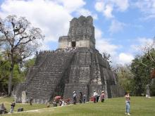 tikal3