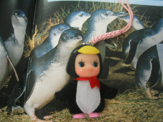 qp penguin 4