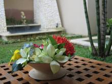 Franjipani4