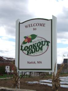 Lookout Farm 1