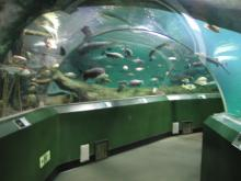 水族館2