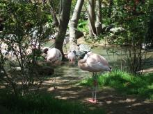 Roger Williams Park Zoo 7