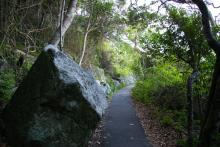 Burleigh Heads