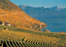 lavaux