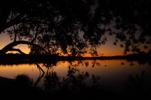 YANCHEP NP1