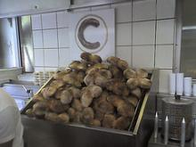 Bread