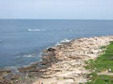 Halibut Point 4