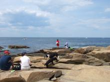 Halibut Point 5