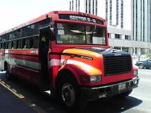 cuu bus