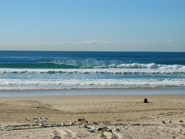 Surfers Paradise