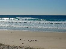 Cabarita Beach