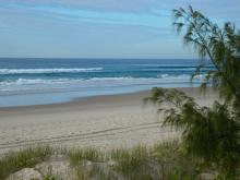 Casuarina Beach