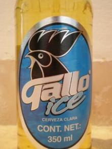 gallo1