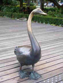 Swan2