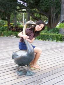 Swan4