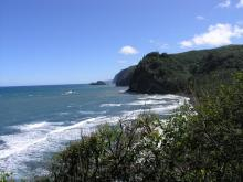 pololu2