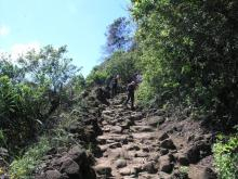 pololu3