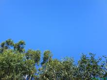 perth sky