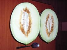 melon3