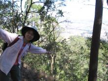 Tamborine Mountain