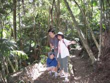 Tamborine Mountain