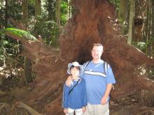 Tamborine Mountain