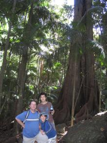 Tamborine Mountain