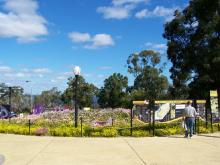 Kingspark1