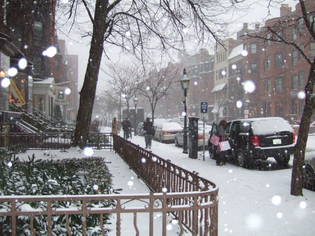 ボストン観光ブログ 雪景色