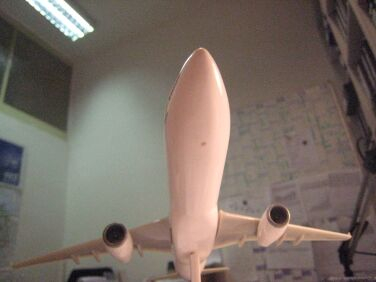 FLT1