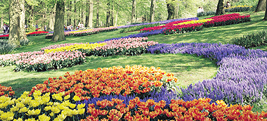 キューケンホフ公園